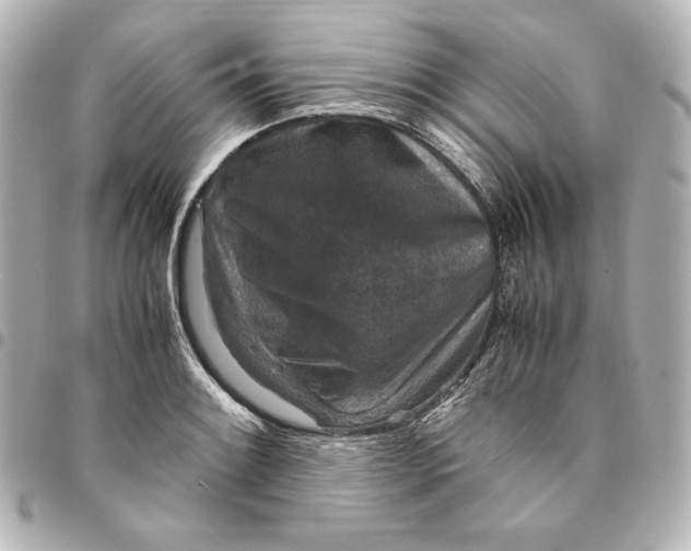 X0000094951084200712201132