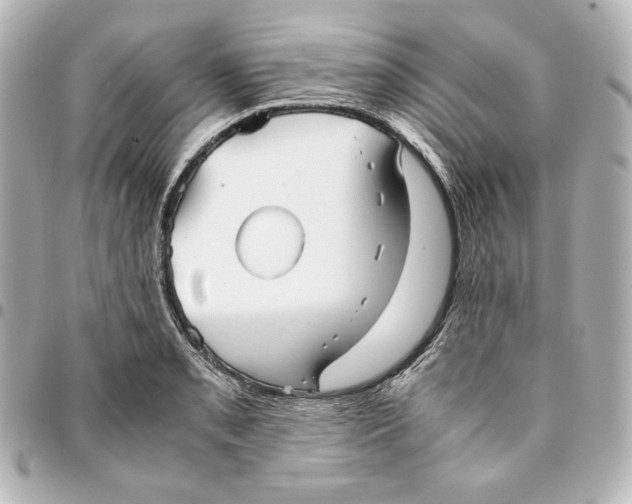 X0000094951085200712201132