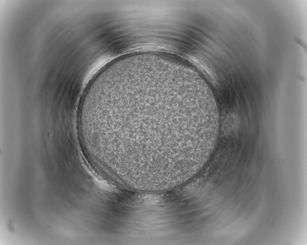 X0000094951086200712201132