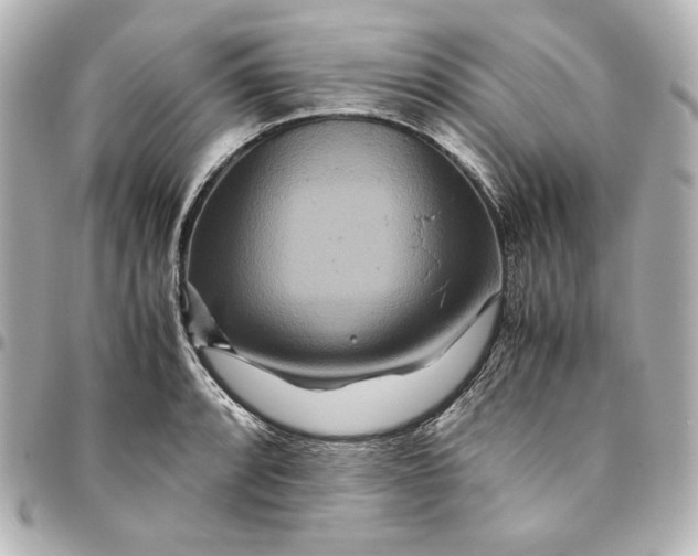 X0000094951088200712201132