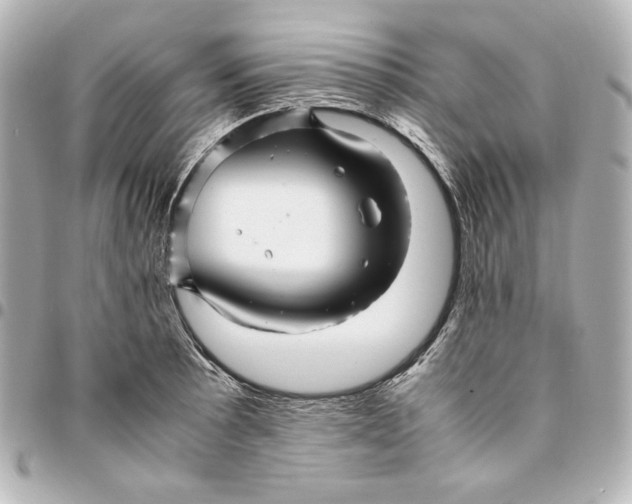 X0000094951089200712201132