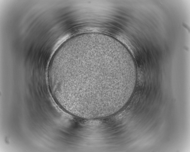 X0000094951090200712201132