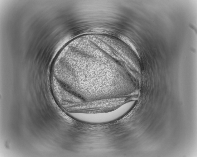 X0000094951091200712201132