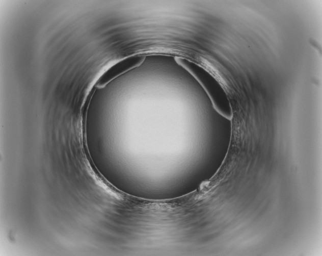 X0000094951092200712201132