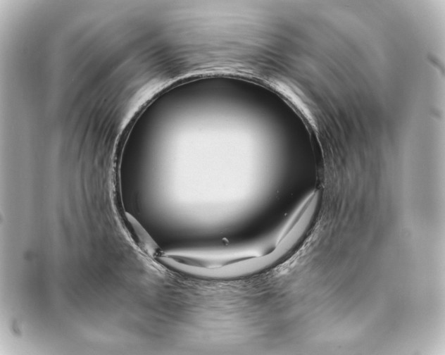 X0000094951093200712201132