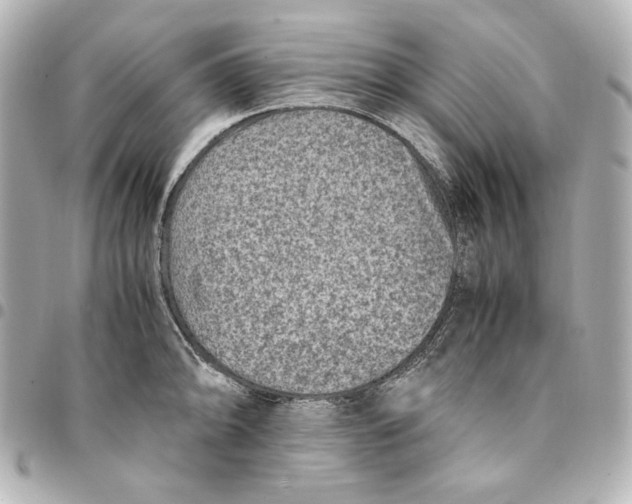 X0000094951094200712201132