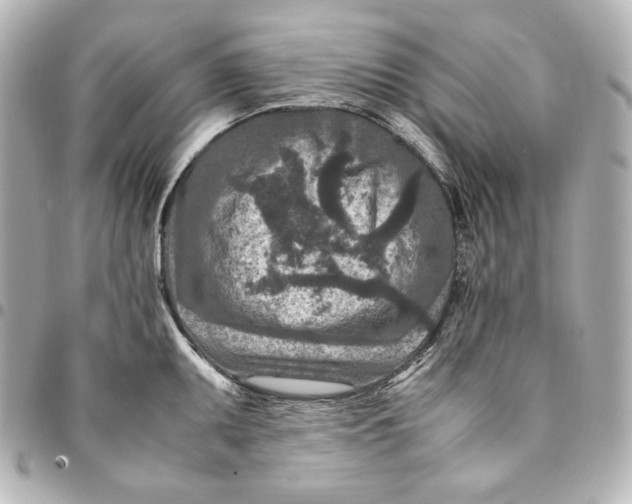 X0000094951095200712201132