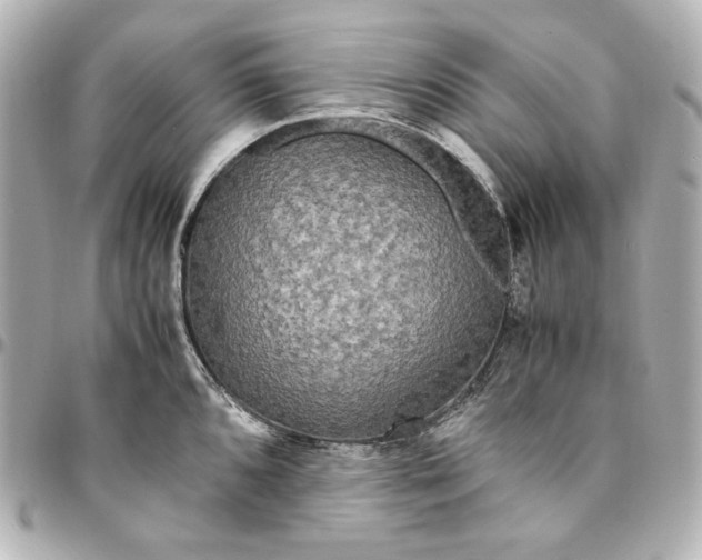 X0000094951096200712201132