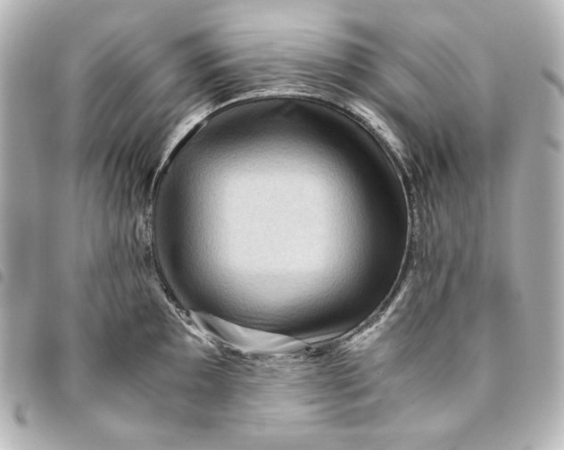 X0000094951097200712201132