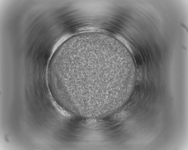 X0000094951098200712201132