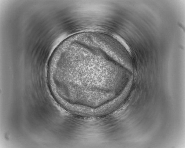 X0000094951099200712201132