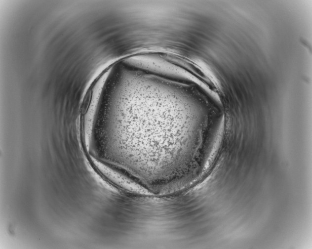 X0000094951100200712201132