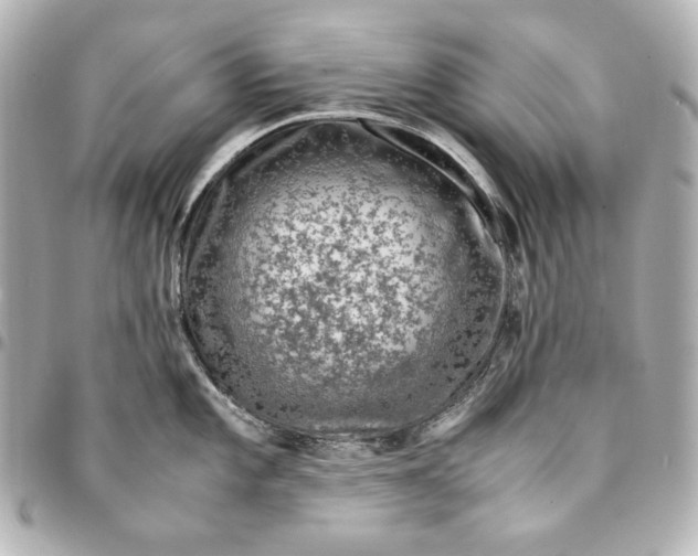 X0000094951101200712201132