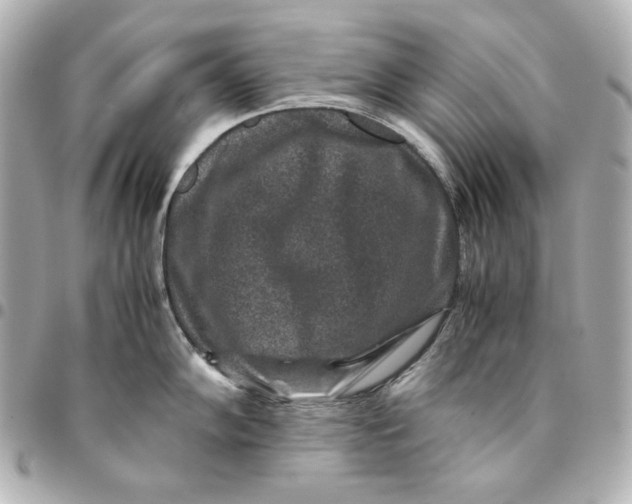 X0000094951102200712201132