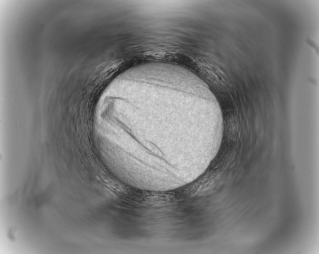 X0000094951105200712201131