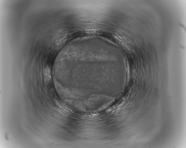 X0000094951106200712201131