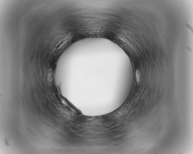 X0000094951107200712201131