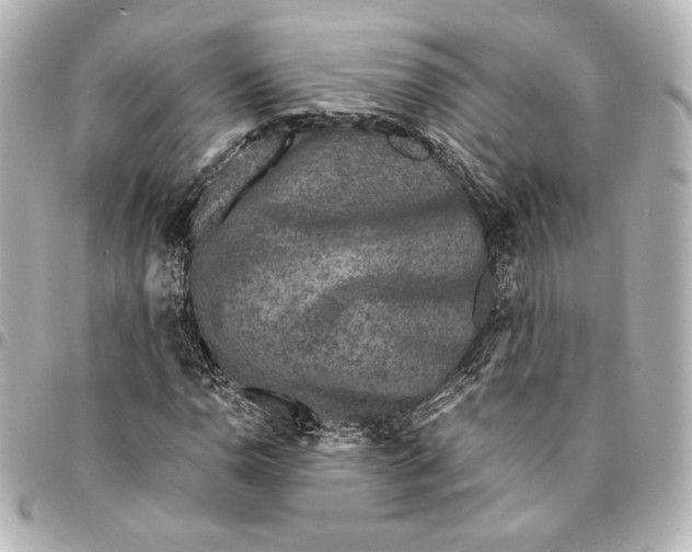 X0000094951110200712201131