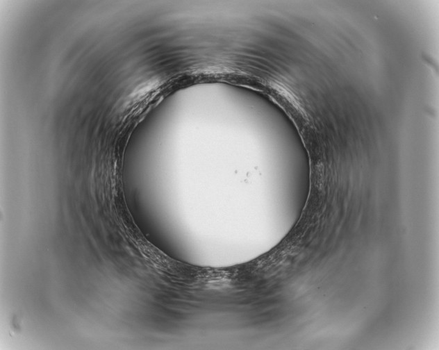 X0000094951111200712201131