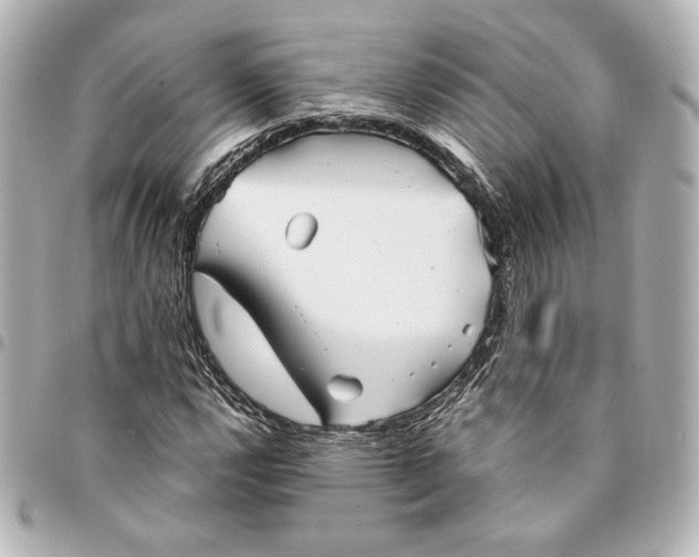 X0000094951112200712201131