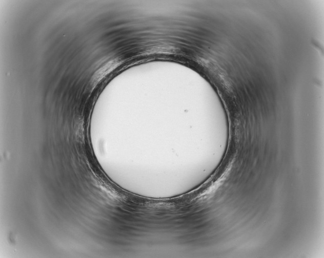 X0000094951113200712201131