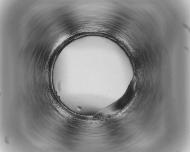 X0000094951114200712201131