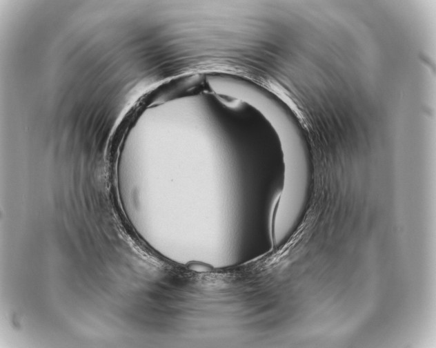 X0000094951116200712201131