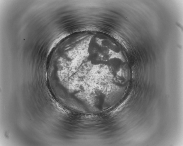 X0000094951117200712201131