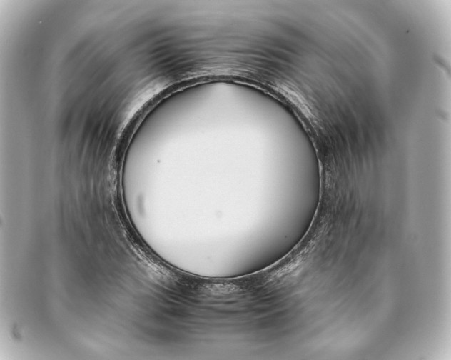 X0000094951119200712201131