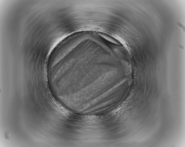 X0000094951120200712201131