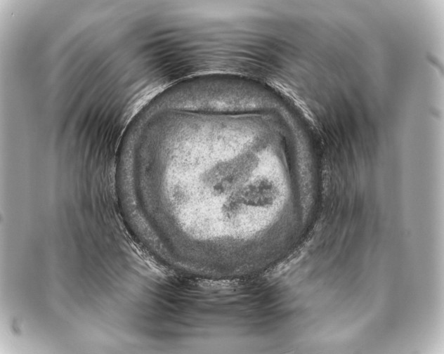 X0000094951121200712201131