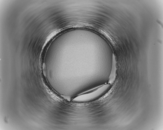 X0000094951122200712201131