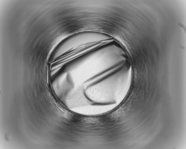 X0000094951123200712201131