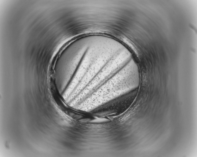 X0000094951124200712201131