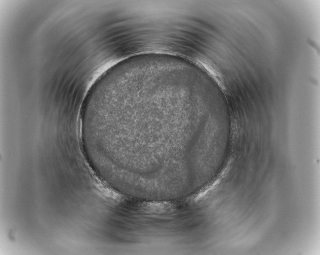 X0000094951125200712201131