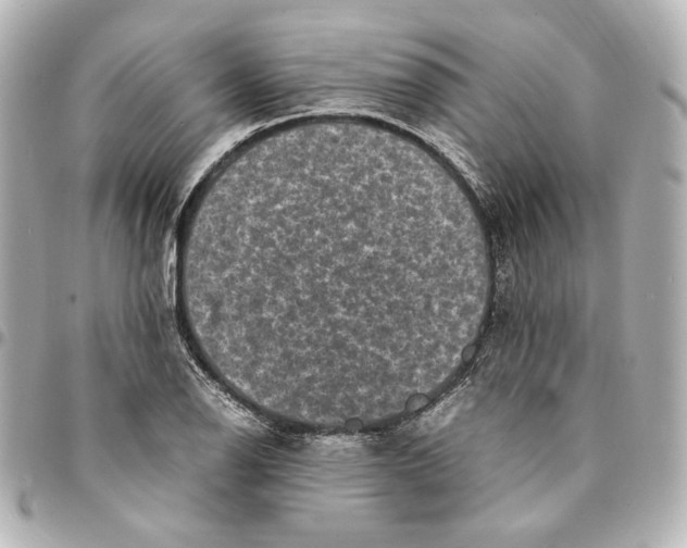 X0000094951126200712201131