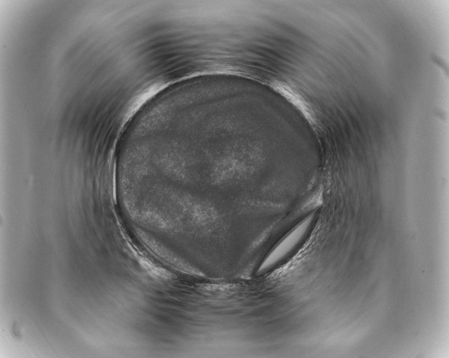 X0000094951127200712201131