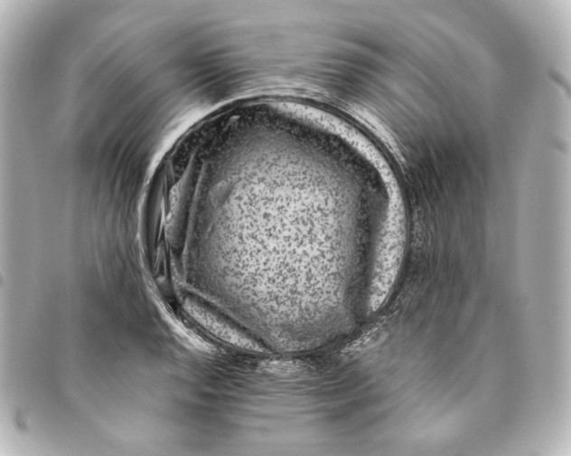 X0000094951128200712201131