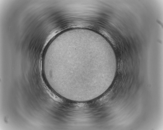 X0000094951130200712201131