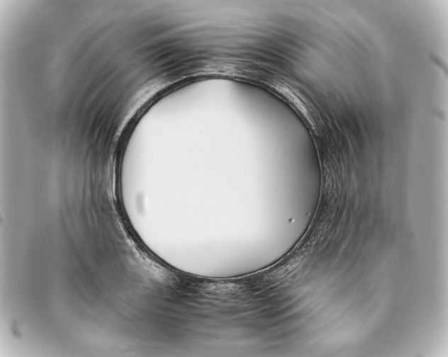 X0000094951131200712201131