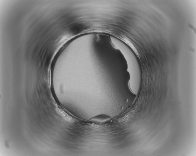 X0000094951132200712201131