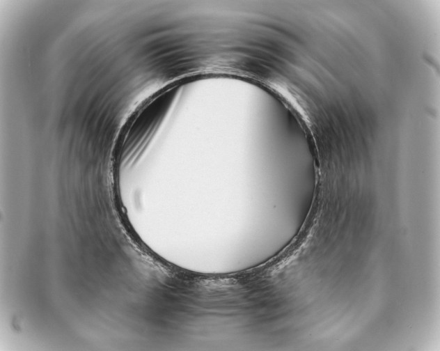 X0000094951133200712201131