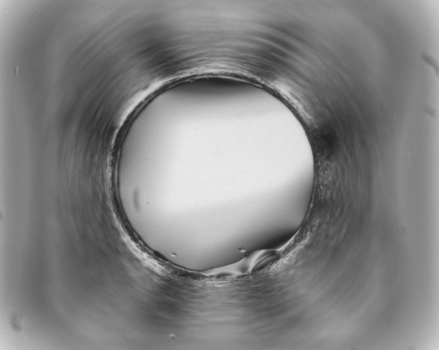 X0000094951134200712201131