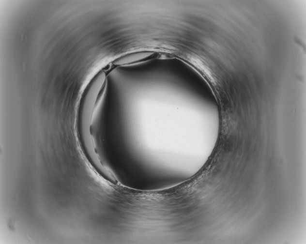 X0000094951136200712201131