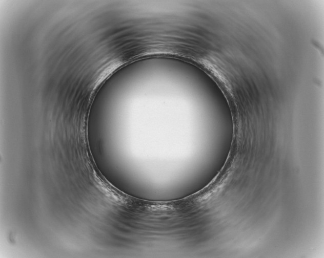 X0000094951137200712201131