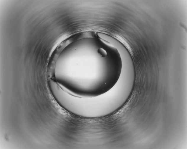 X0000094951138200712201131