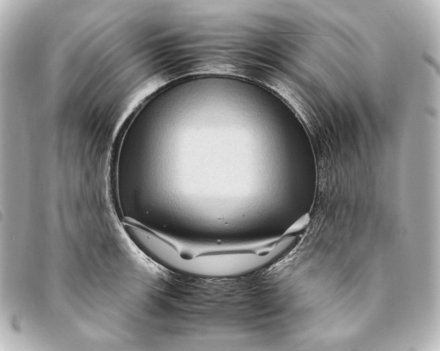 X0000094951139200712201131