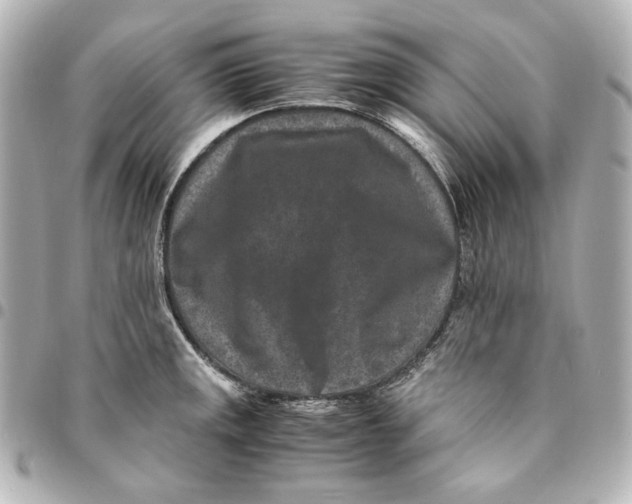 X0000094951141200712201131