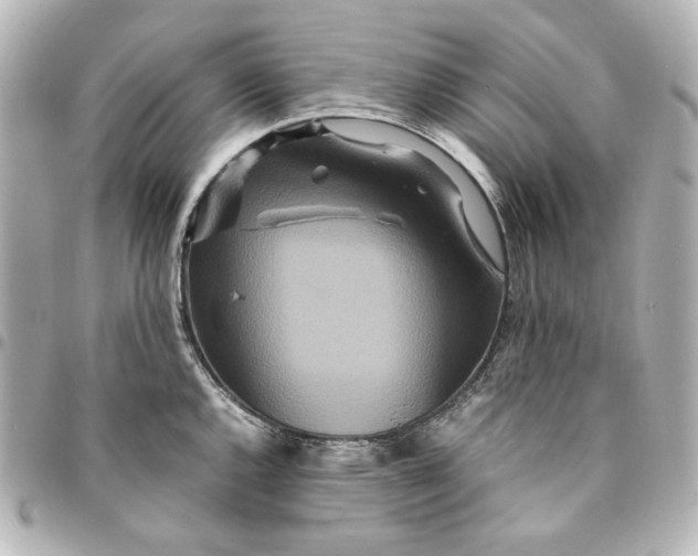 X0000094951144200712201131