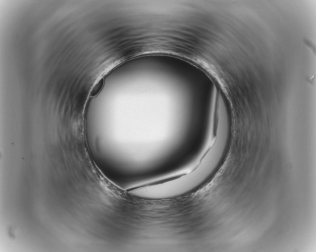 X0000094951145200712201131